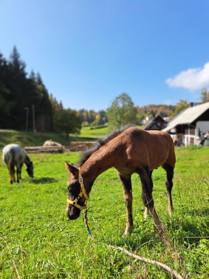 Apartamento Tourist Farm Pr' Maretc Bohinjska Bistrica Exterior foto